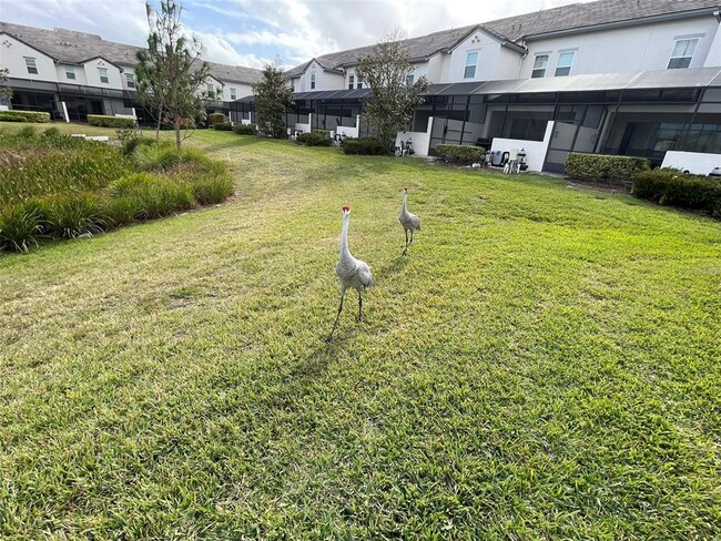 Building Photo - 163 Captiva Dr