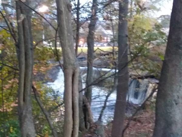 Vista desde tu apartamento - 188 Colburn St