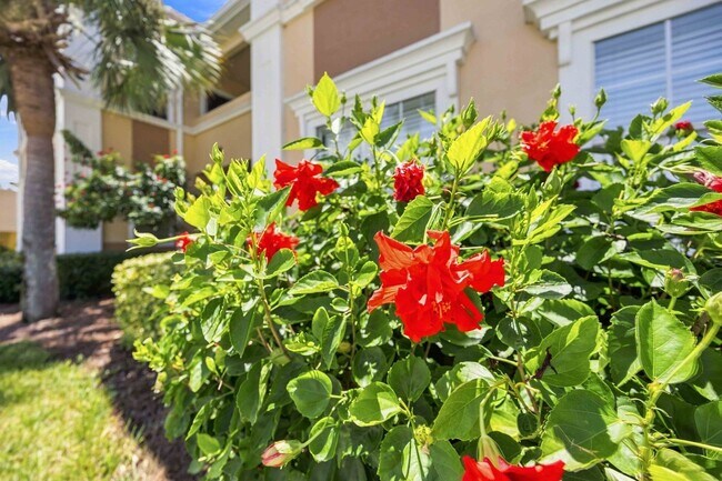 Foto del edificio - 1195 Villagio Cir