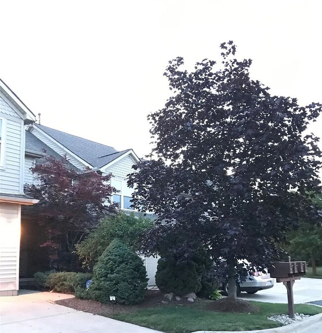 Building Photo - 3520 Meadow Grove Trail