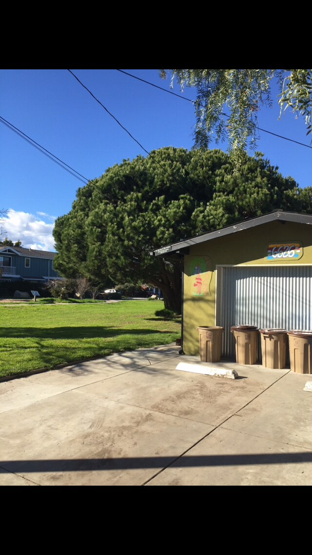 6626 Trigo Rd Unit 1, Goleta, CA 93117 Apartment for Rent in Goleta