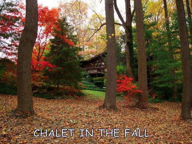 Primary Photo - 4223 Echo Valley Rd