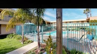 The pool area at 2904 Clairemont in San Diego offers a well-appointed outdoor amenity space designed for relaxation and leisure in the sunny Southern California climate. At the heart of the space is a generously sized swimming pool with clear, turquoise water, surrounded by a tiled pool deck lined with lounge chairs and shaded umbrella seating — ideal for sunbathing or casual outdoor gatherings. A distinctive teal-colored metal fence encloses the pool for safety while maintaining an open, airy feel. Adjacent to the pool, a thoughtfully designed pergola structure with warm wood beams provides a shaded lounge area furnished with a curved, cushioned sectional sofa, a perforated metal coffee table, and accent chairs, creating an inviting spot for outdoor socializing. The surrounding grounds feature well-maintained green lawns, mature palm trees that lend a tropical atmosphere, and carefully curated low-maintenance plantings including succulents and ornamental shrubs. Concrete walkways connect the various areas of the courtyard, offering easy navigation throughout the space. The multi-story residential buildings that frame the courtyard feature balconies that overlook the pool and greenery below, adding to the sense of a cohesive, community-centered outdoor environment. Overall, the space exudes a relaxed, resort-inspired ambiance befitting its San Diego setting.