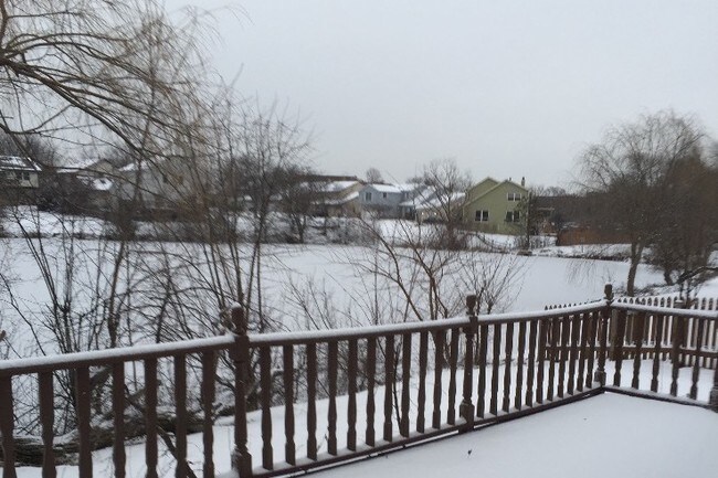 Building Photo - 1964 Crescent Ln