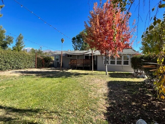 Building Photo - **Pending**3 Bedroom + Sunroom Property wi...