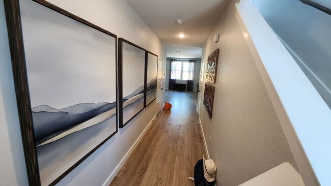 Foto del edificio - University Village -4bd, 2bth/Hausman Rd