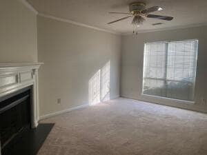Building Photo - 2124 Turtle Ct
