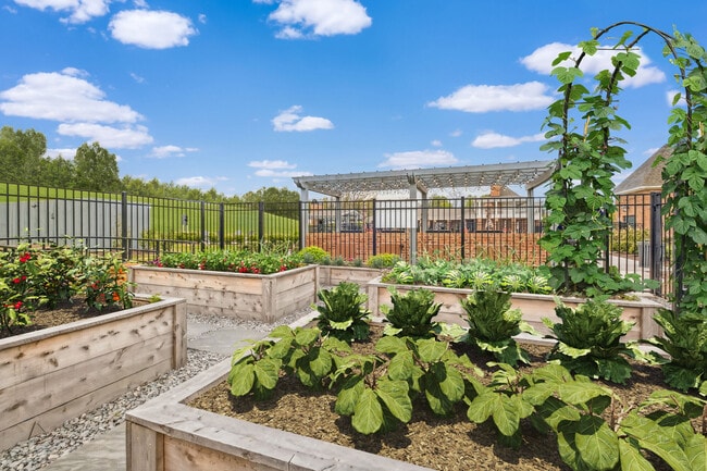 Building Photo - Provenza at Park Place
