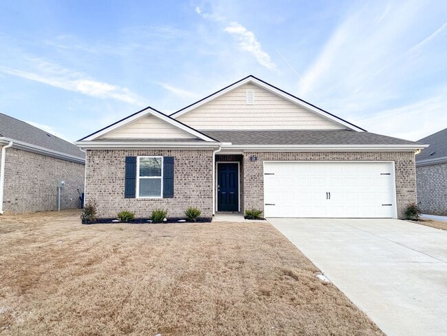 Building Photo - 3 bed 2 bath new construction by DR Horton