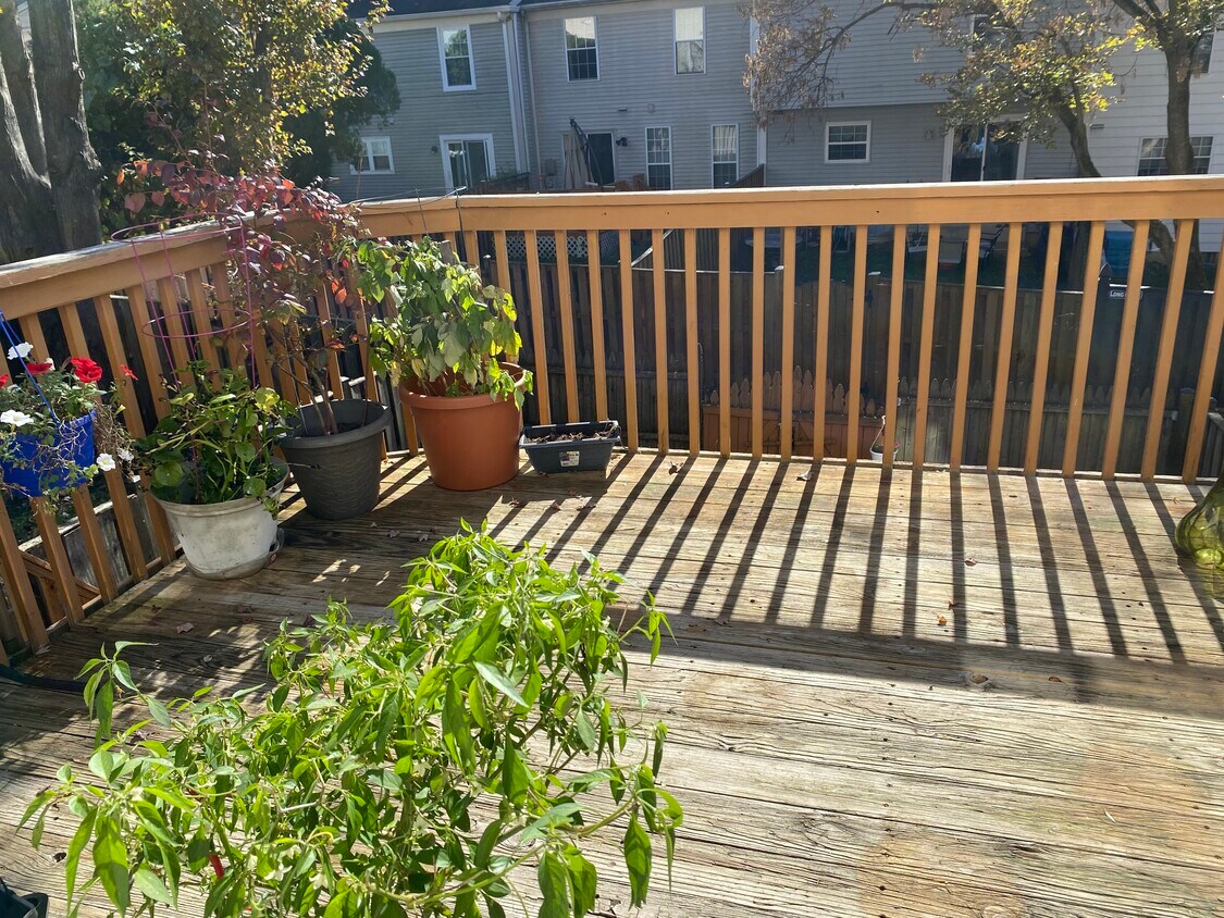 17510 Gallagher Way, Olney, MD 20832 Townhome Rentals in Olney MD