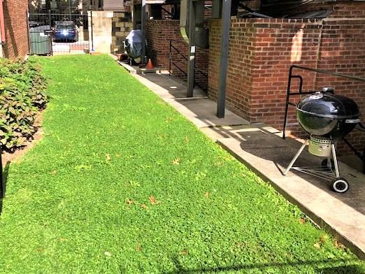 Backyard and grilling area - 1502 17th St NW