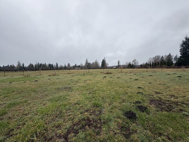 Foto del edificio - 130 Doggone Ln