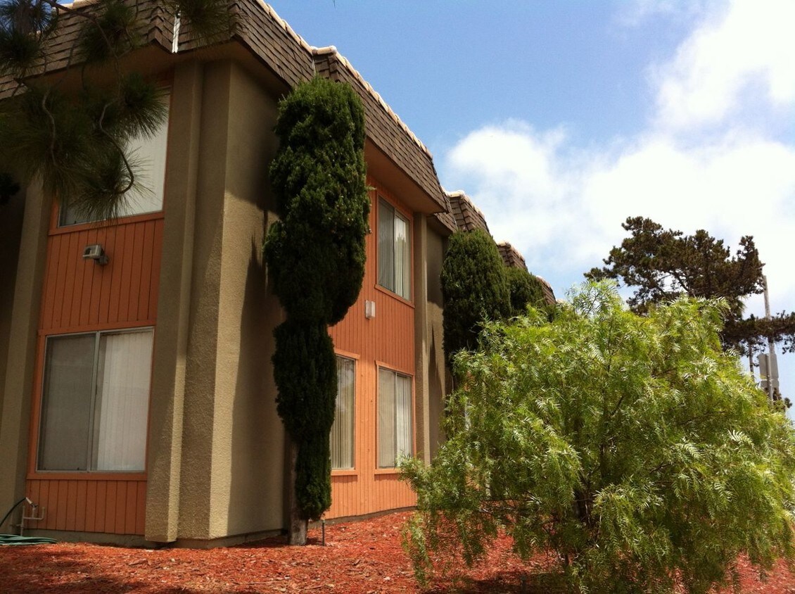 1062 Apartments Available for Rent in San Diego, CA WestsideRentals