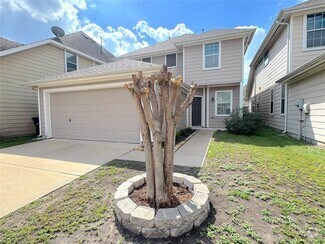 Building Photo - 6511 Wilshire Fern