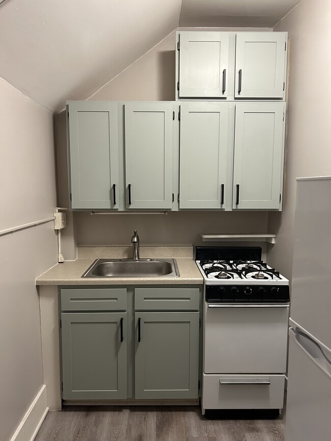 Updated shaker style cabinets, sage green - 318 E Colorado Ave