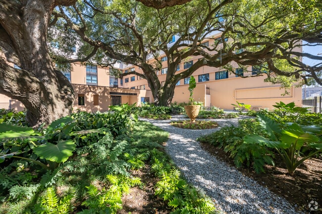 The Jackson - The Jackson Apartments