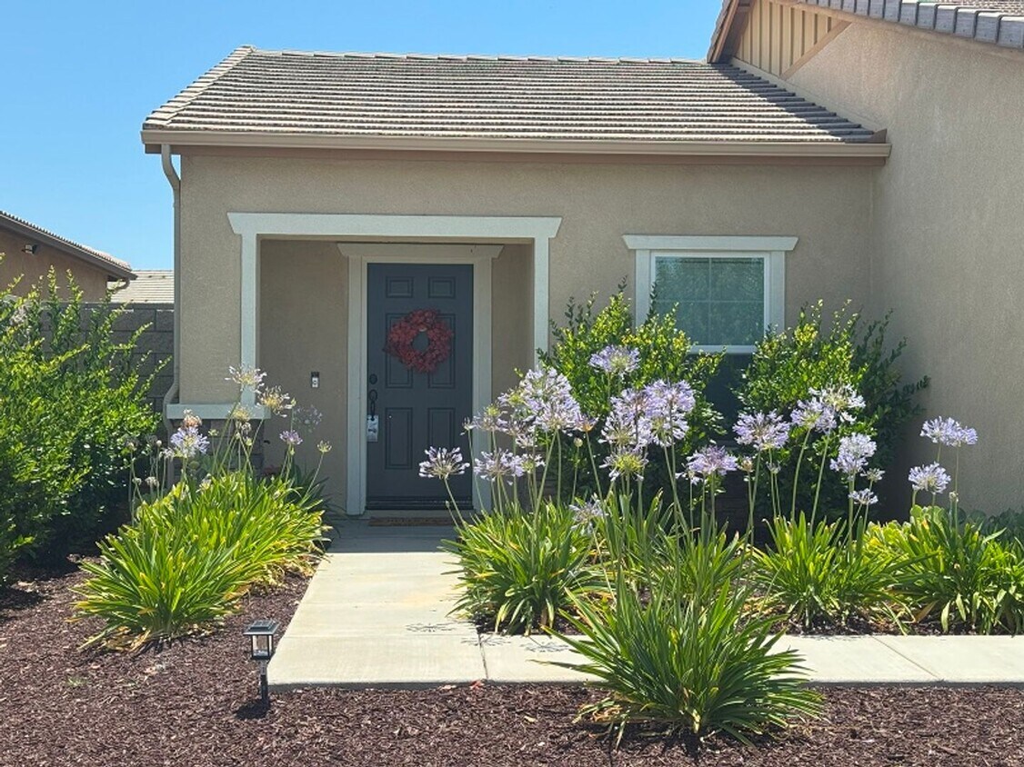 Primary Photo - Beautiful Single Story House in New commun...