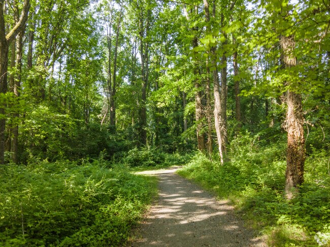 Deerlick Park is a Great place to explore and be one with nature in Annandale.