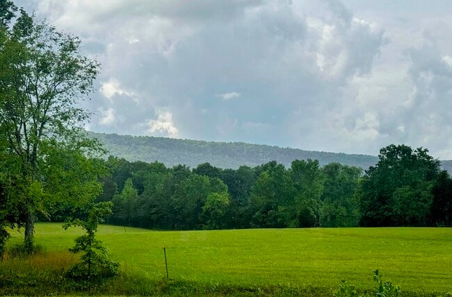 Photo - View Point Realty Townhome