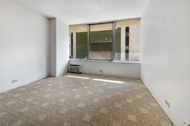 Building Photo - 1000 N Lake Shore Dr.