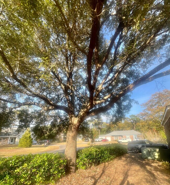 Foto del edificio - Brick one level home, Live Oak Tree, 3-4 bedrooms, fenced yard, deck.