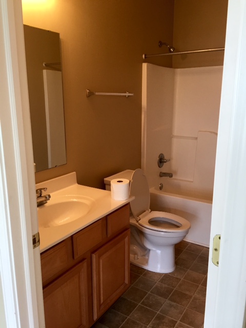 2nd floor bath - 9763 Rolling Plain Dr