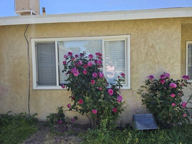 Foto del edificio - Quartz Hill 3 Bedroom, Large Lot