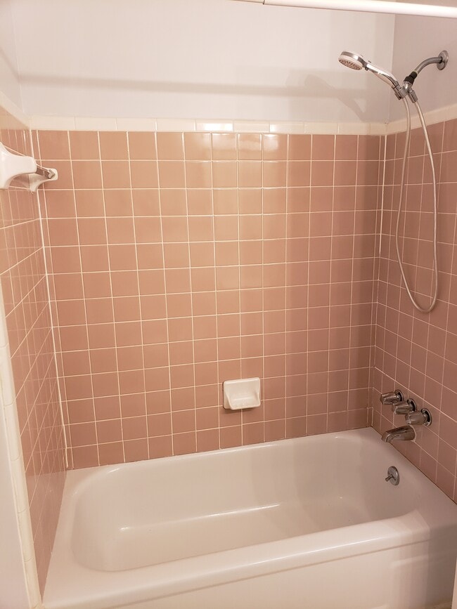 Main bath, bathtub and shower - 41177 S Woodbury Green Dr