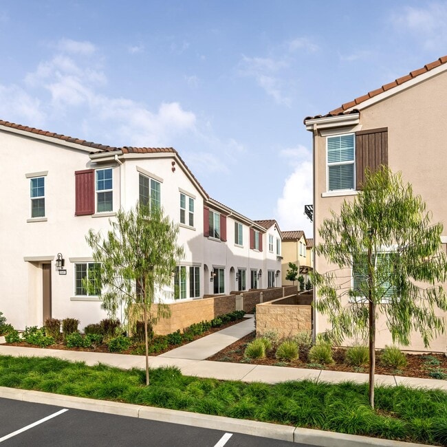 Tricon Elk Grove