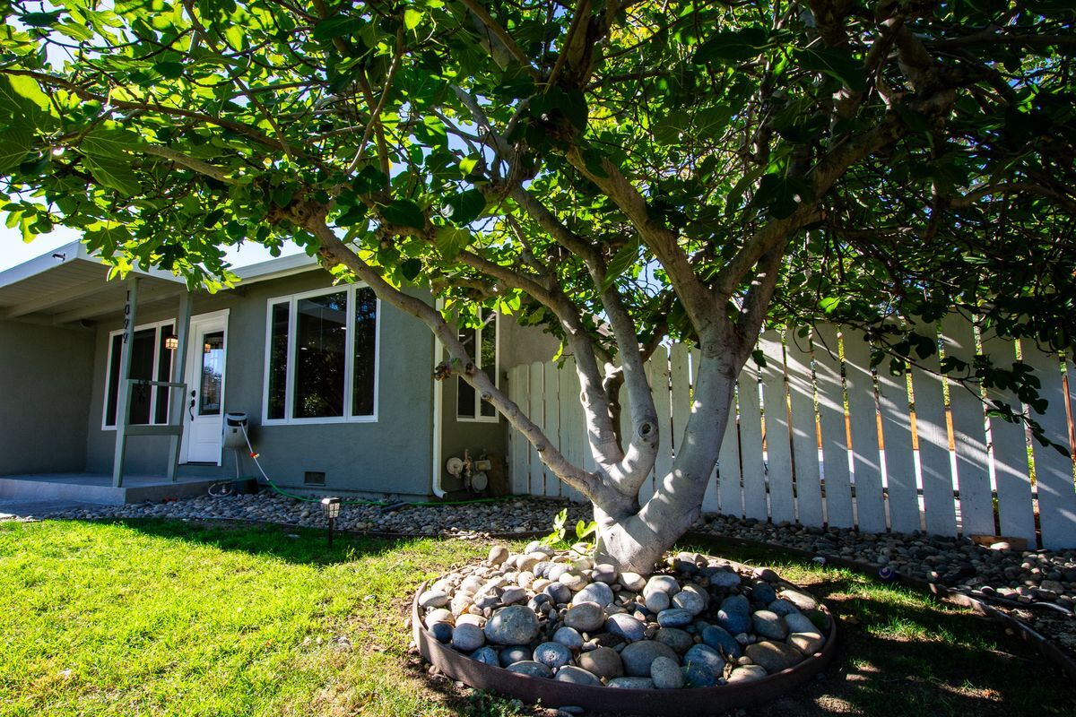 Foto principal - 1099 Bradford Dr