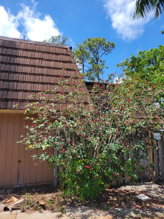 Building Photo - 2353 Caroma Ln