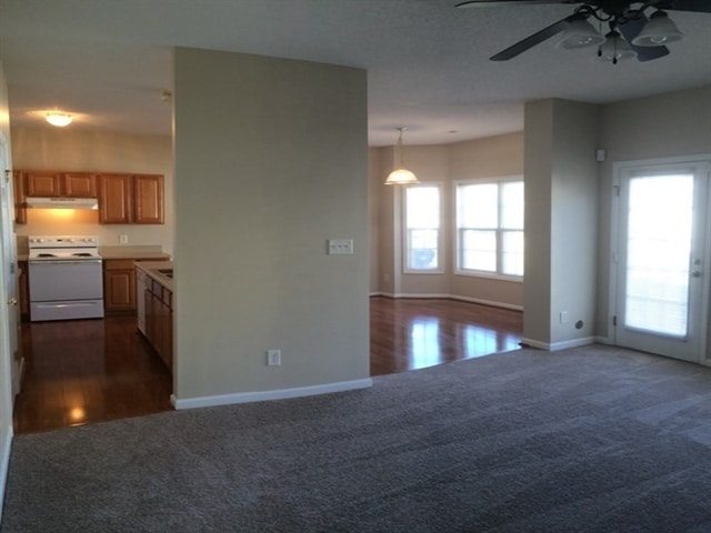 Foto del edificio - 2705 Red Ruby Ln