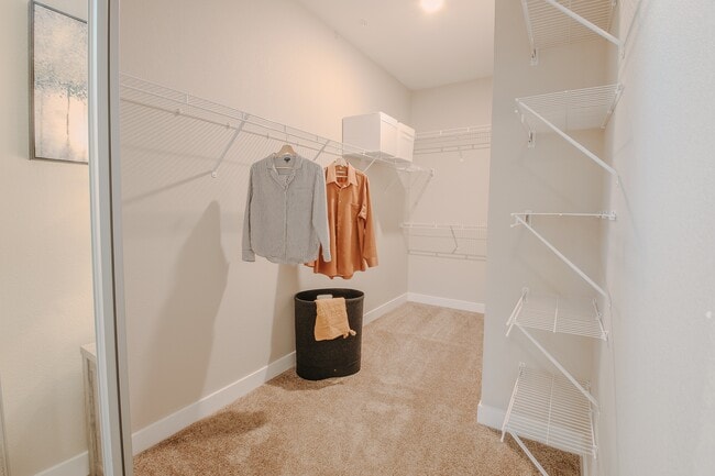 Building Photo - Level 25 at The Curve by Picerne