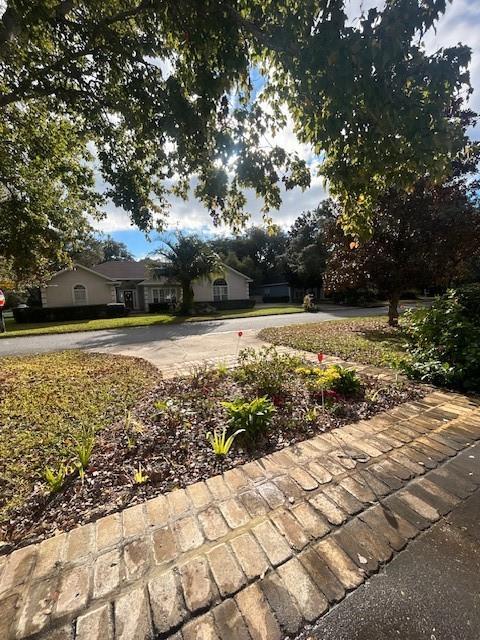 Foto del edificio - 111 Hanging Moss Dr