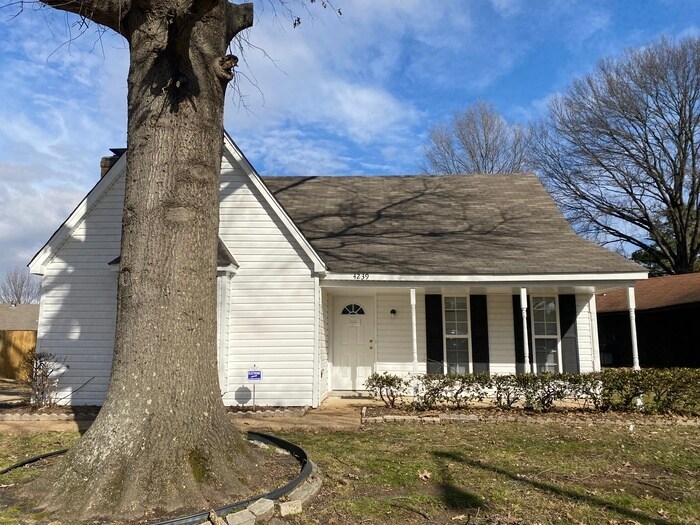 Primary Photo - 4239 Runningbrook Cir Memphis, TN 38141