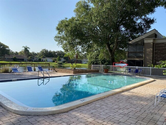 Foto del edificio - Cute Studio in the heart of Tampa