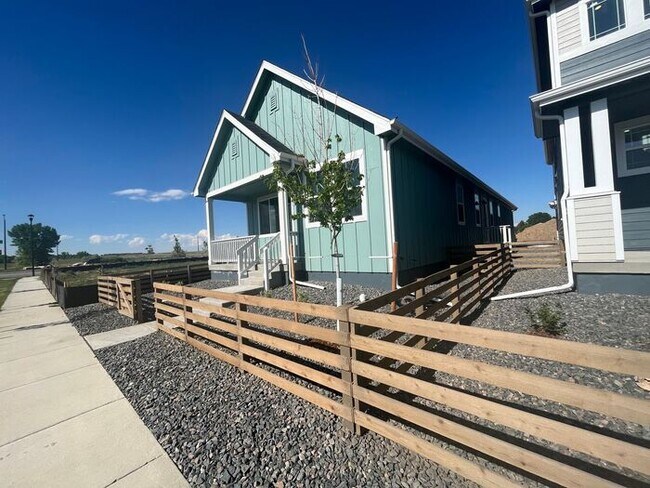 Building Photo - Brand New Home in North Fort Collins
