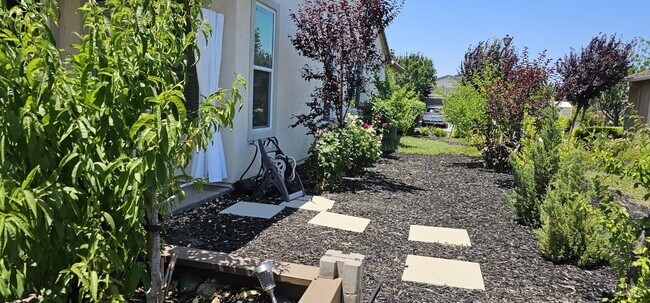 Foto del edificio - 366 Silver Ridge Dr
