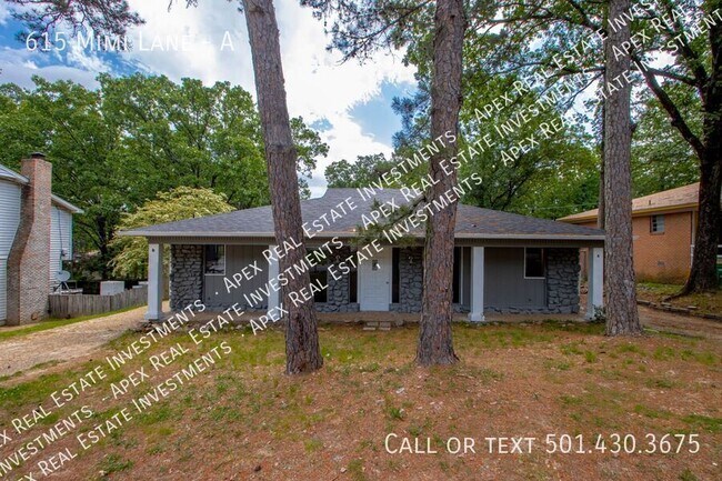 Building Photo - 615 Mimi Ln