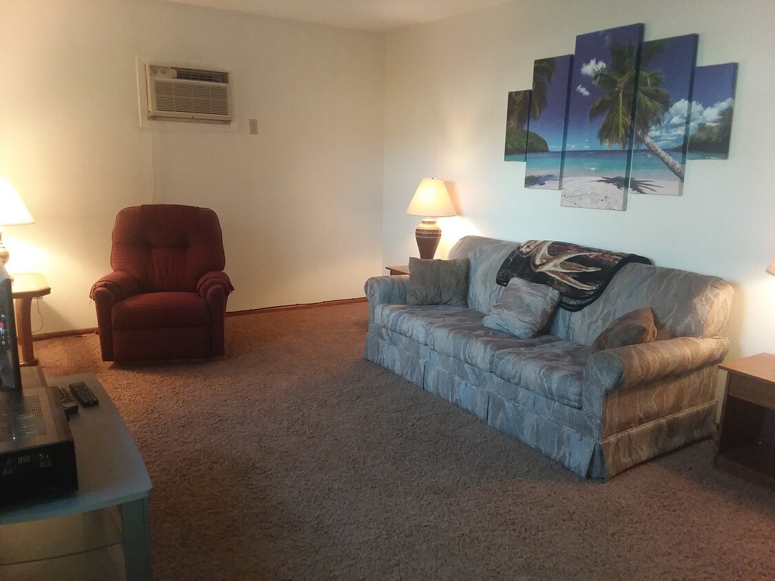 LR (Furnished Apt) - 115 12th St N