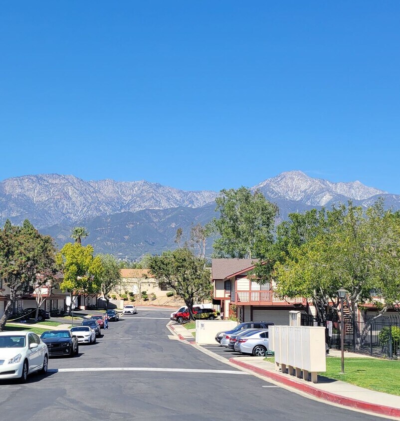 Building Photo - Rancho Meadows