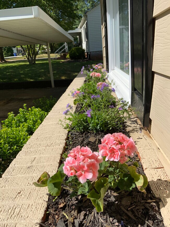 Foto del edificio - 303 High Valley Blvd