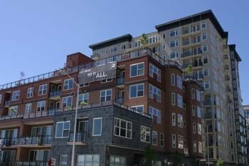 Foto del edificio - The Vine Building - Studio + extra room