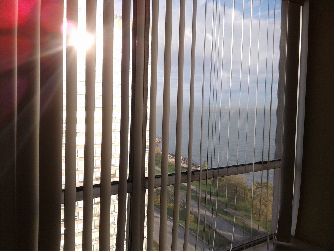 lakeview from living room - 4800 S Chicago Beach Dr