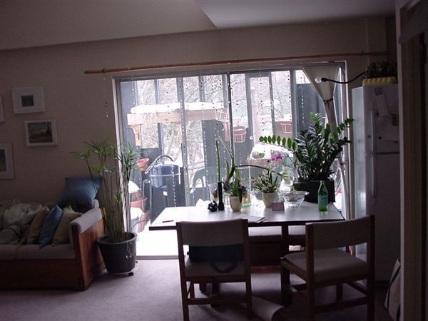 Foto del edificio - 2 br, 1.5 bath Apartment - Tradewind Apart...