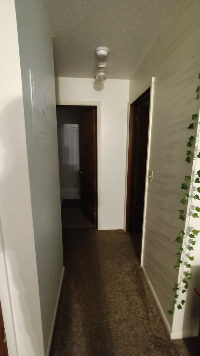 Hallway - 605 Ravoux Rd