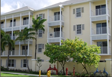 Building Photo - Dadeland Vista