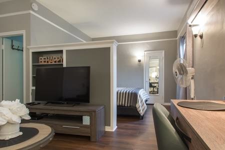 Sony 49 in smart TV - 81 W Glenarm St