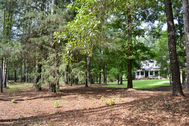 Building Photo - Rare Find: 5-Acre Retreat For Rent in Prim...