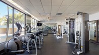 Located at 645 Ives Dairy Rd in Miami, FL, the Horizons North fitness center is a generously proportioned, single-floor gym facility designed to support a comprehensive workout experience. The space is defined by a striking wall of floor-to-ceiling windows running along one side, filling the interior with abundant natural light and offering open views of the surrounding tropical landscape, including tall palm trees that evoke the Miami setting.

The main exercise floor features dark rubberized flooring throughout, providing a durable and functional surface for a wide range of activities. Cardio equipment, including elliptical trainers and treadmills, is arranged in orderly rows along the windowed side of the room, allowing users to exercise while enjoying the outdoor scenery. On the opposite side and toward the interior, a robust selection of strength-training machines and cable systems are positioned alongside free-weight benches, catering to varied fitness routines.

Large wall mirrors amplify the sense of space and assist with form during workouts. Mounted flat-screen televisions are placed throughout the room for entertainment. The drop-panel ceiling features recessed lighting supplemented by pendant fixtures, maintaining a bright and well-lit environment. Entry to the fitness center is through glass-paneled doors marked with the Horizons North branding, connecting to adjacent community amenity spaces.